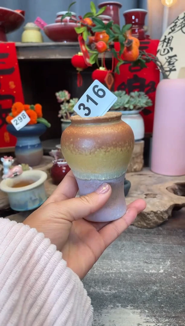 【闪购商品】摆件316知木小芳花盆