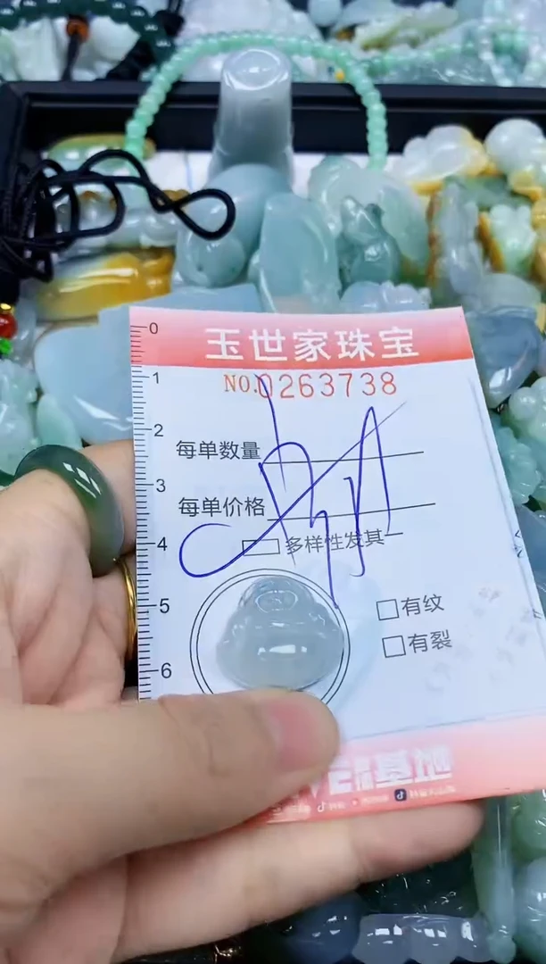 翡翠未镶嵌颈饰闪购0263738多样性发其一