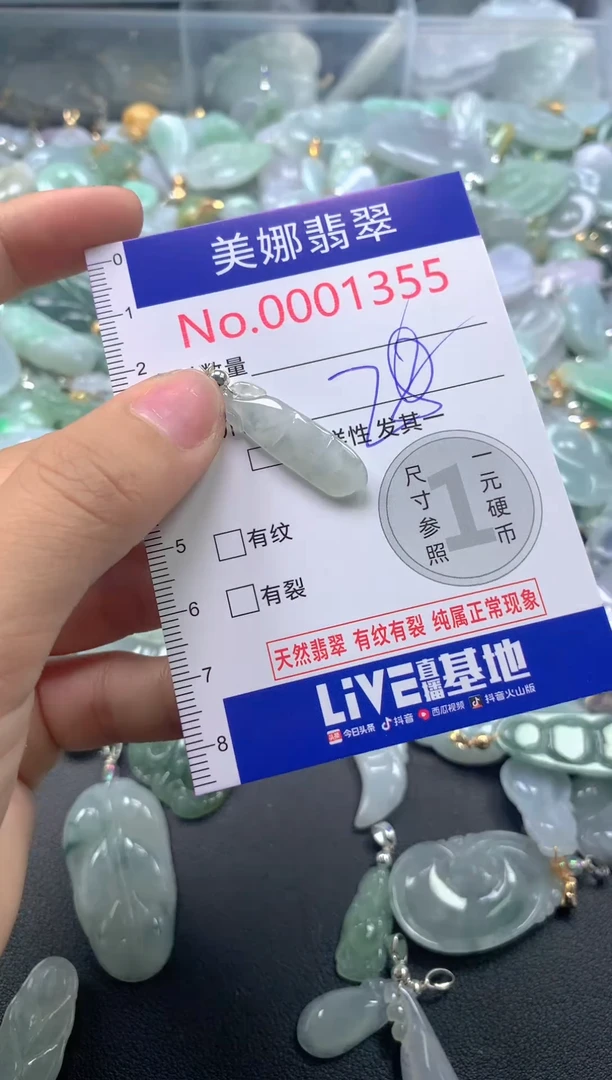 颈饰未镶嵌翡翠1355