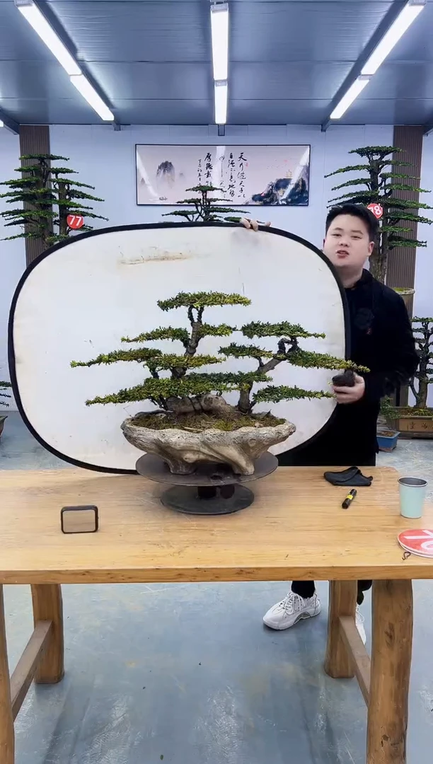 以实际为准000000000