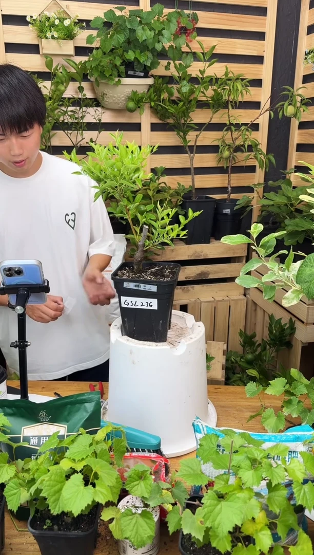 一**靥一物一拍 蟠枣 2.8L GSL236