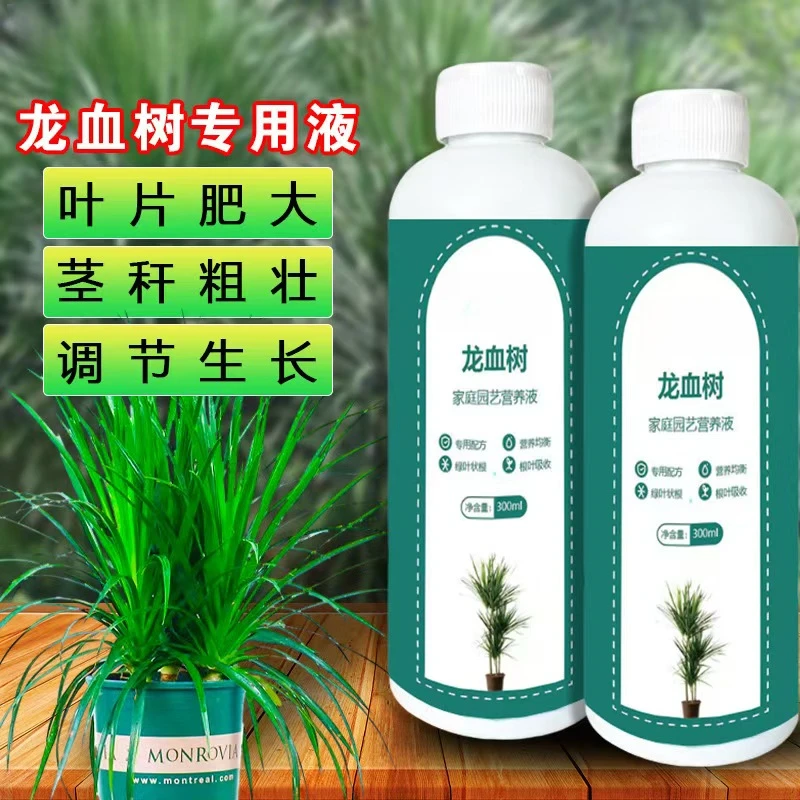 龙血树龙须树专用营养液盆栽植物室内绿植养花肥通用氮磷钾肥