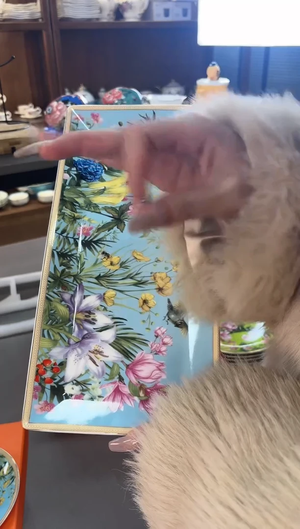 【闪购商品】瓷片 SKUSKUSKUSKU279