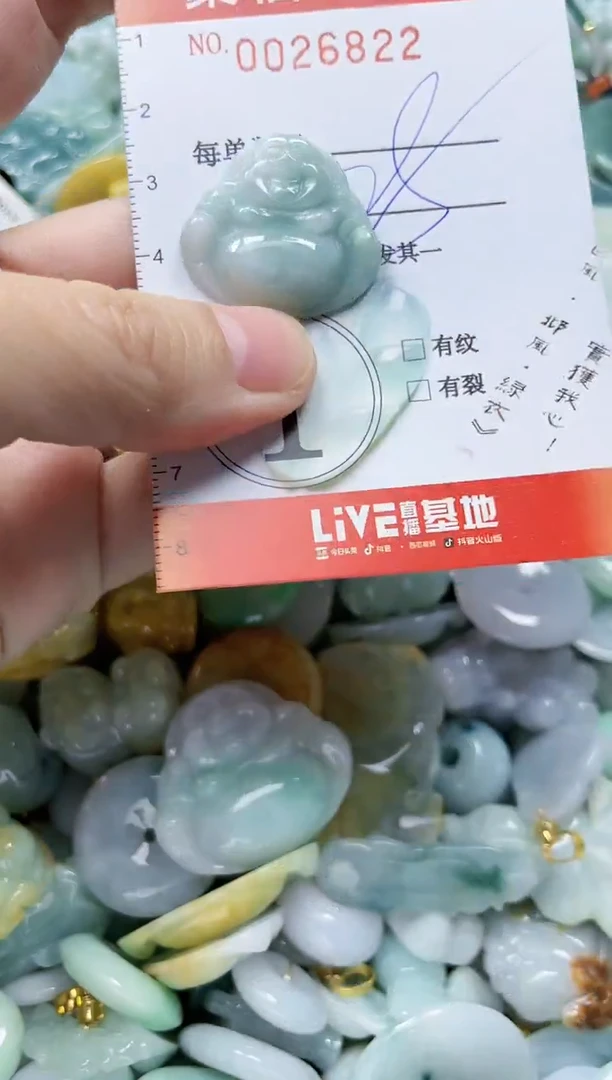 【闪购商品】翡翠颈饰未镶嵌闪购0026822