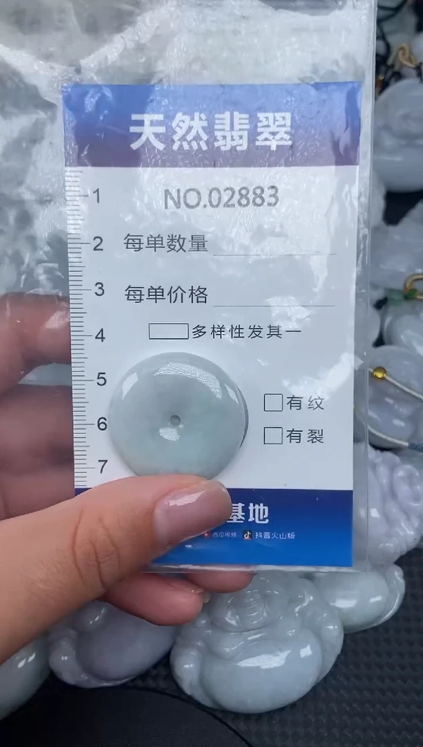 颈饰未镶嵌翡翠纯天然A货翡翠2883