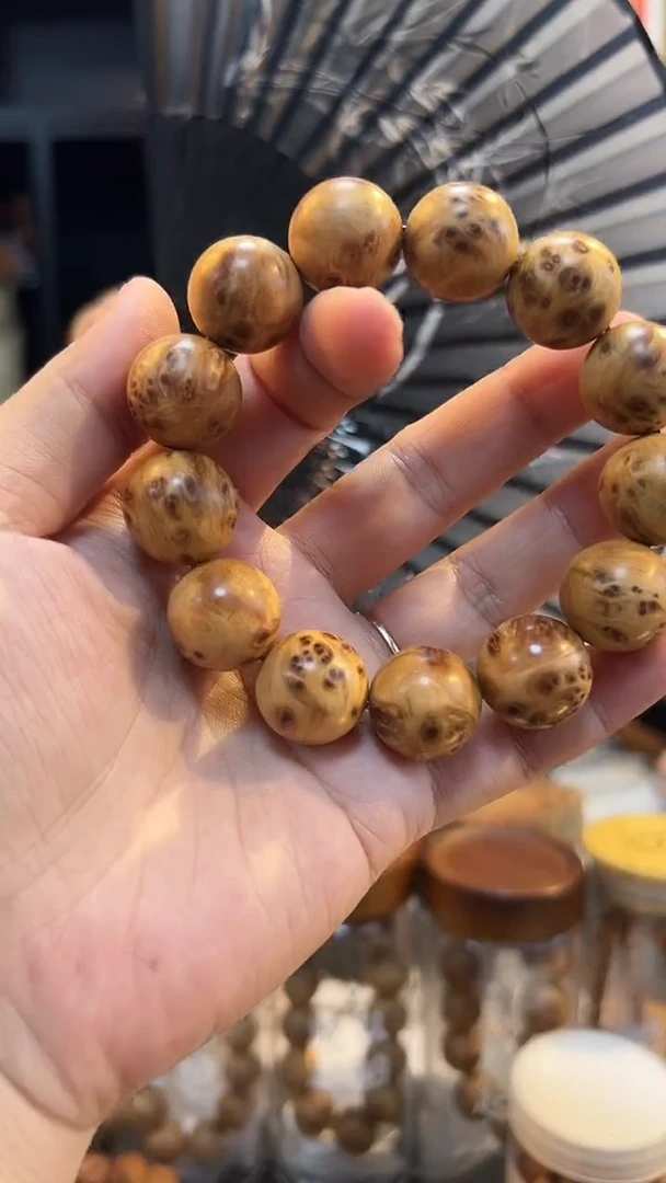 永**逝1.8瘤花圆珠单圈太行