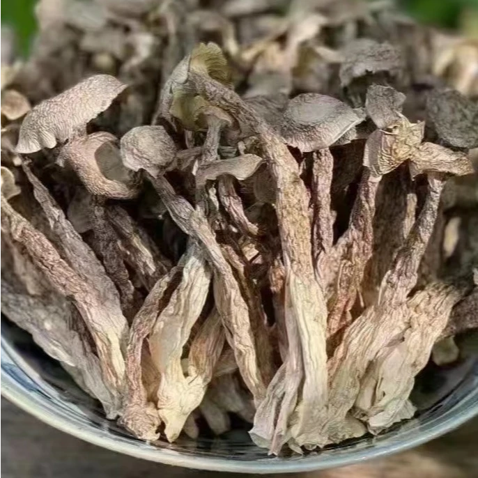 【严选好物】鹿茸菇 菌柄粗壮 菇形完整 zz