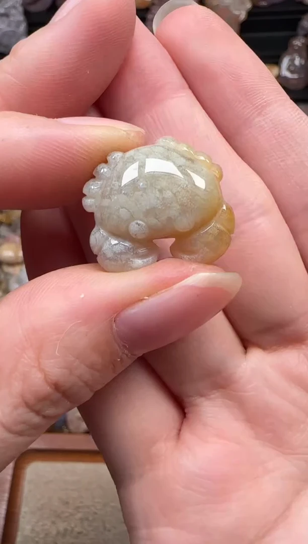 颈饰未镶嵌硅化珊瑚（珊瑚玉）085