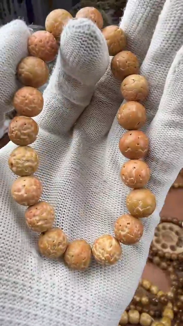 手串菩提根/象牙果红皮小金刚