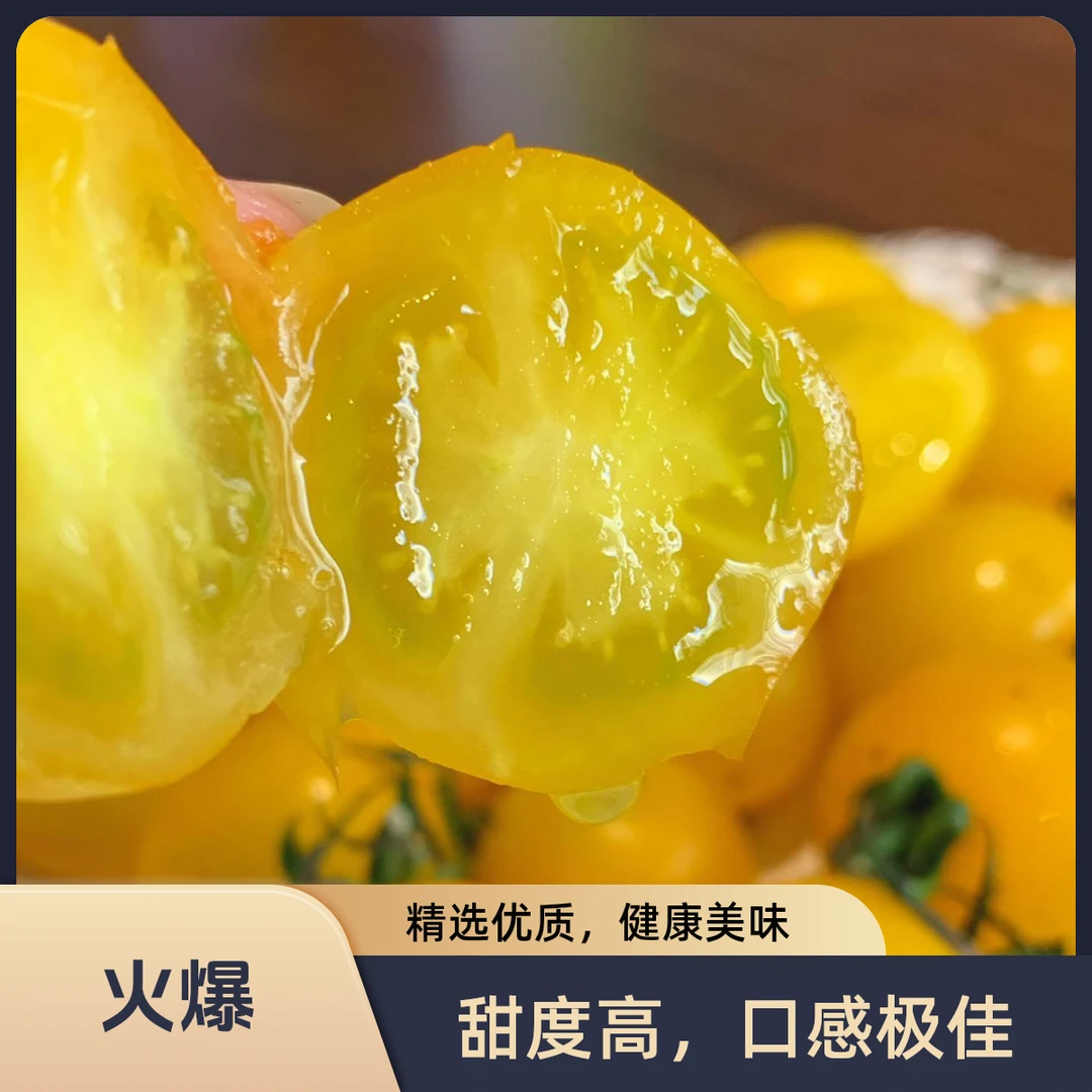 辽宁黄色小番茄迷恋香甜爆汁圣女果迷你西红柿新鲜黄番茄圣女果
