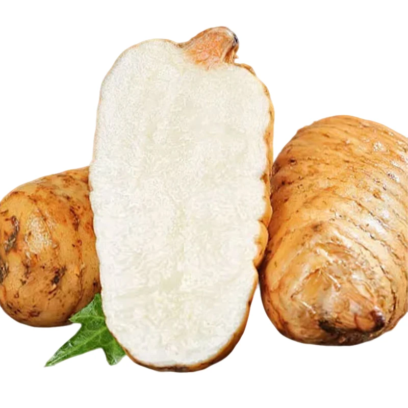 正宗云南昭通小草坝新鲜乌天麻煲汤蒸蛋泡酒产地顺丰直发产地直销