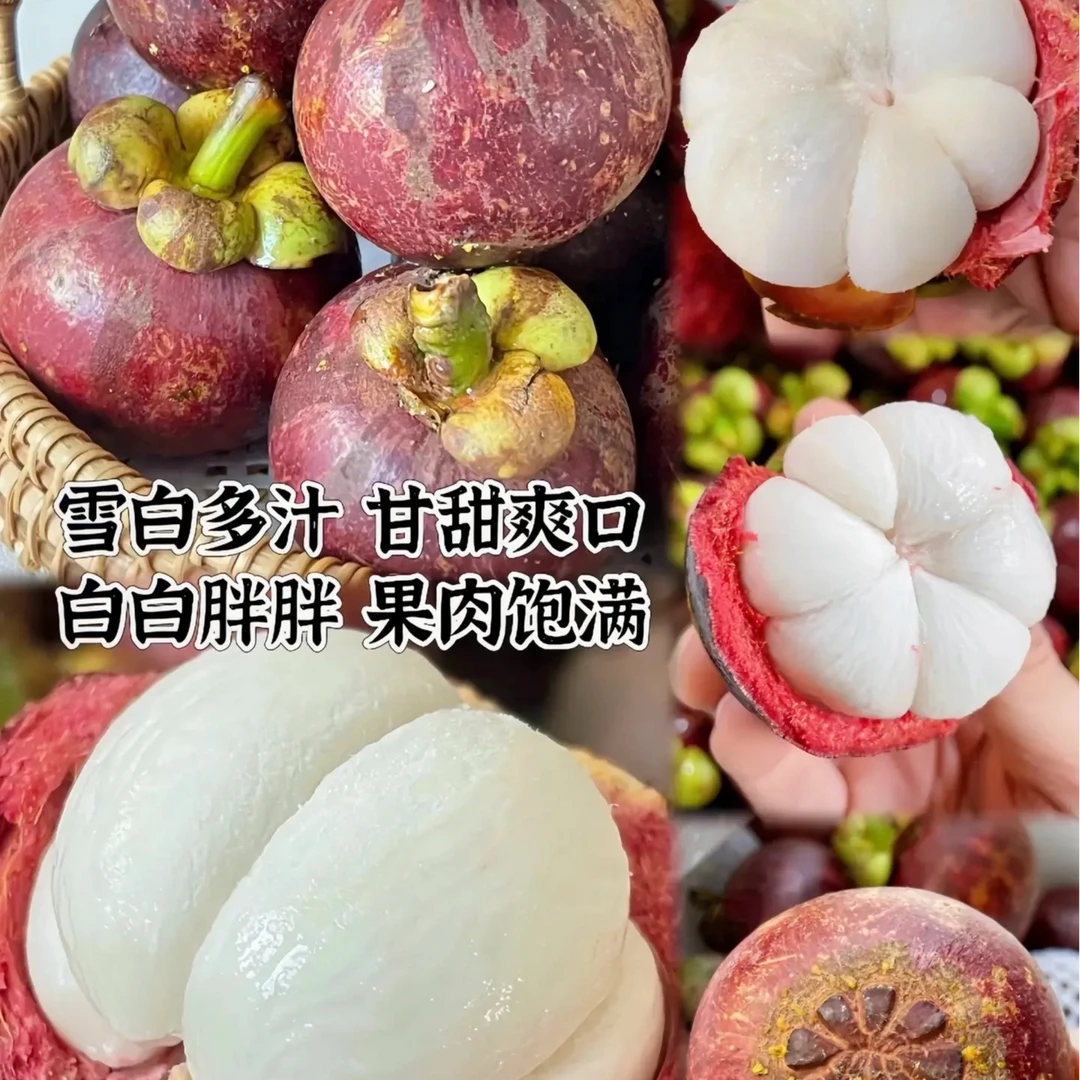 泰国5A山竹老树山竹约15斤