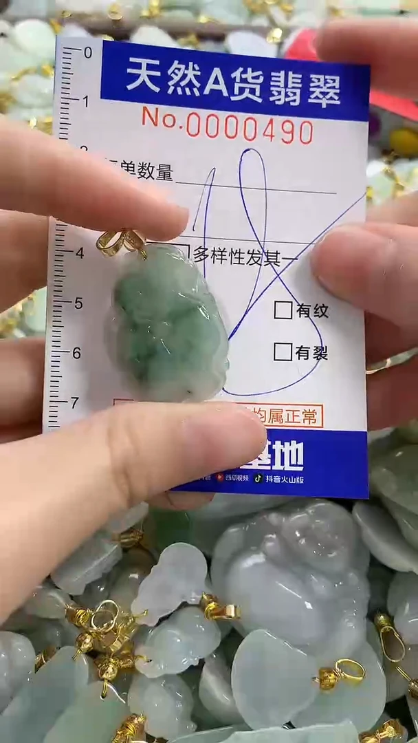 颈饰未镶嵌翡翠纯天然a货翡翠