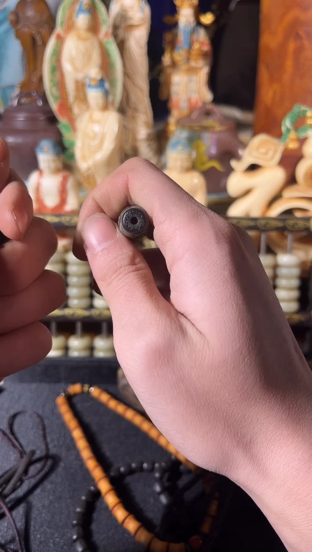 黄杨木1111111111111