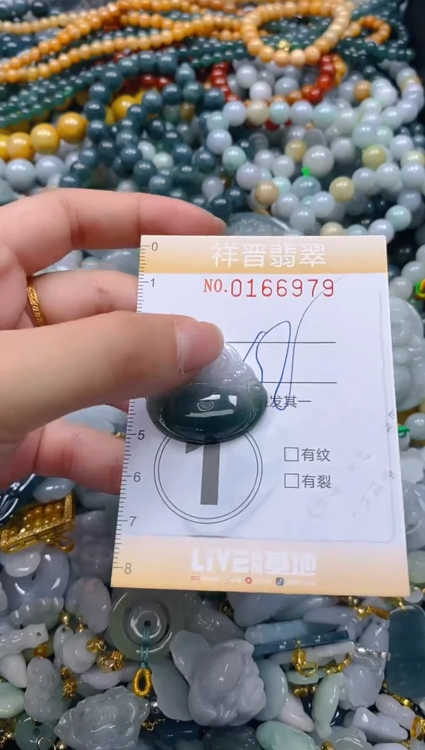 翡翠未镶嵌颈饰闪购0166979