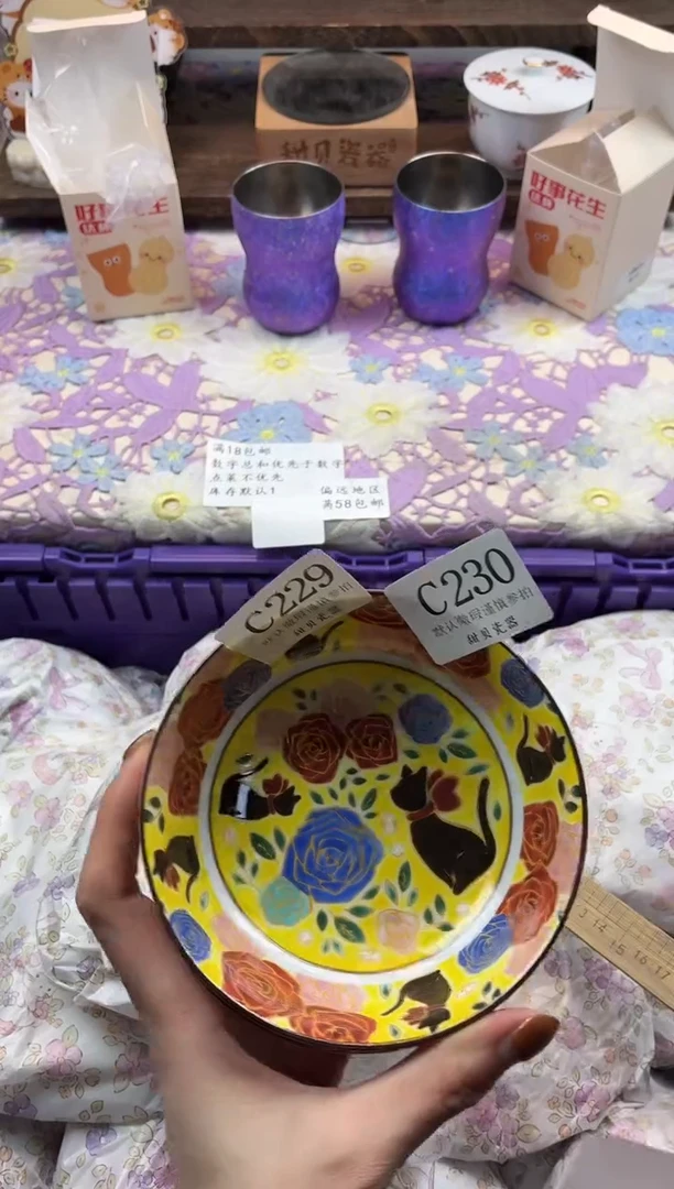 瓷片.*                     C229