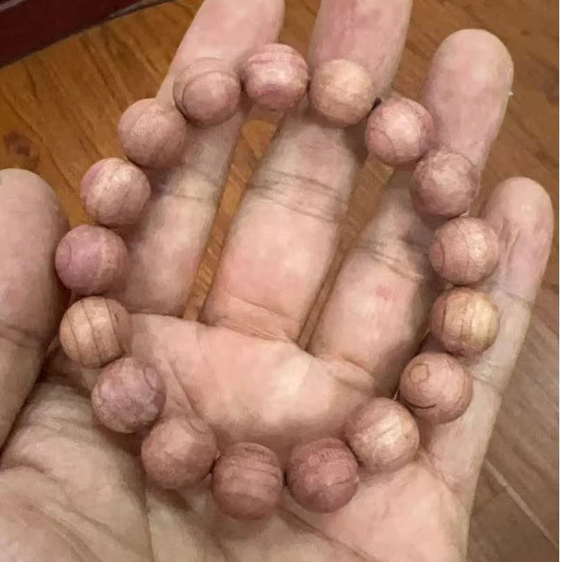 可乐豆木12mm单圈