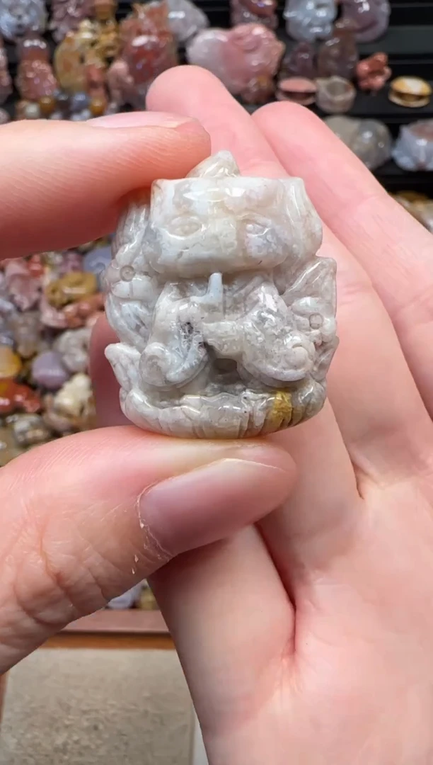 颈饰未镶嵌硅化珊瑚（珊瑚玉）458