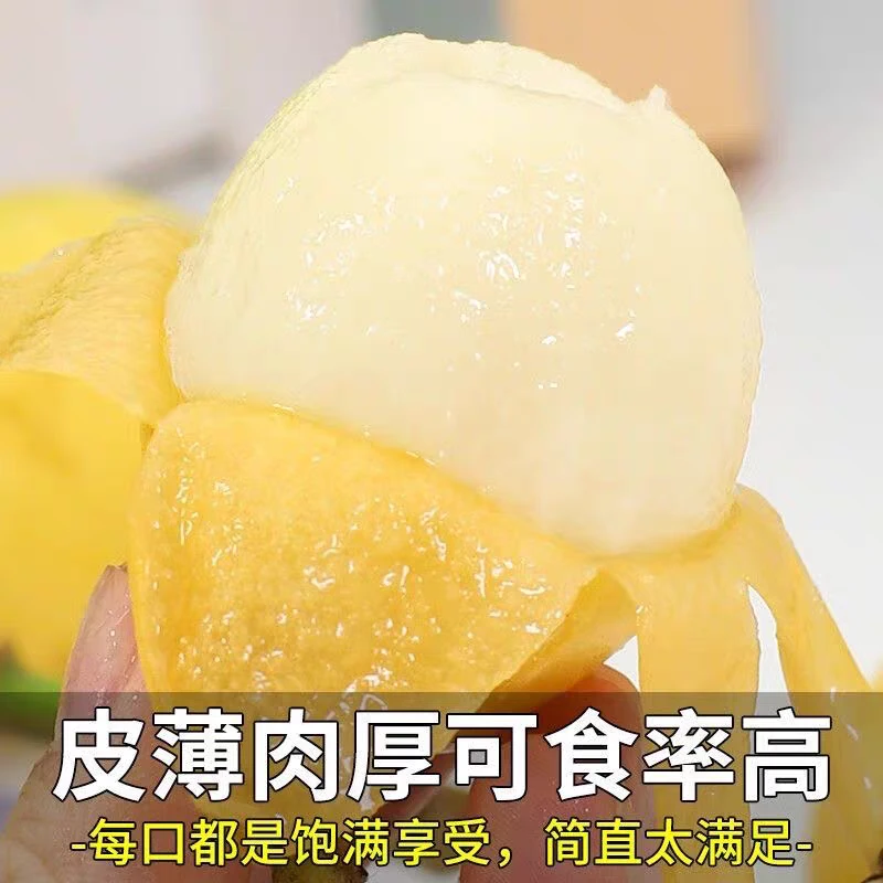 【正宗东山白玉枇杷中小果】白玉枇杷核心产区新鲜采摘10-20g中果