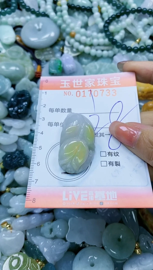 【闪购商品】翡翠颈饰未镶嵌闪购0170733