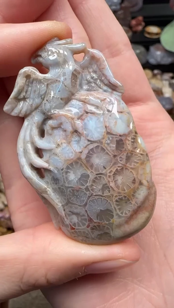 颈饰未镶嵌硅化珊瑚（珊瑚玉）802