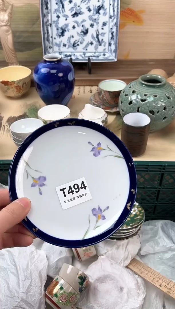 瓷片?***g494