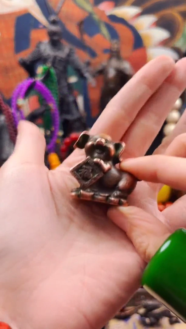 【闪购商品】飞姐专属精品推荐