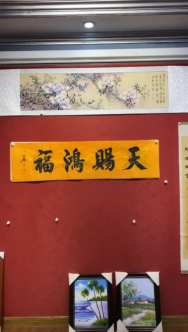 书法赵飞老师天赐鸿福