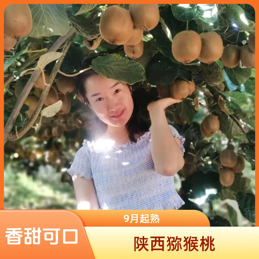 陕西产地直发新鲜绿心徐香猕猴桃软糯香甜应季水果