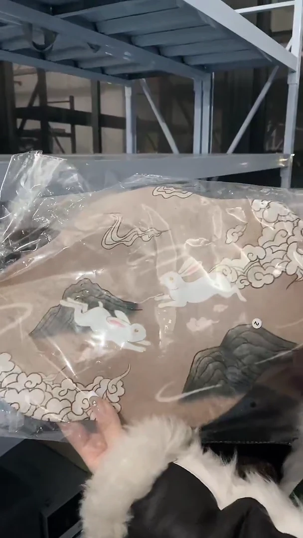 【闪购商品】瓷片豆包儿推荐饰品摆件