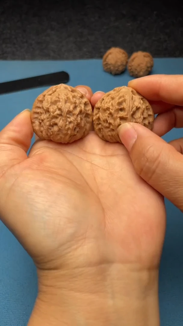 桃核把件w194  白狮子 37尺