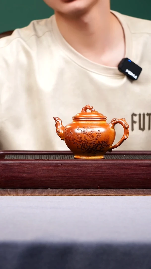 茶壶紫砂宜兴原矿紫砂作品
