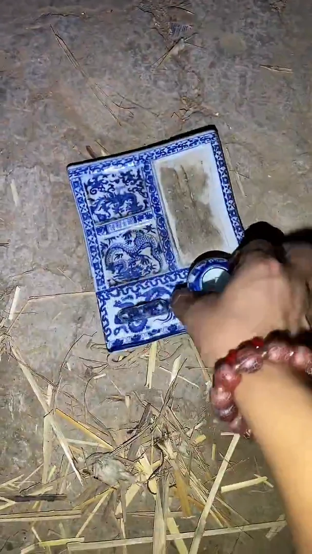 香榧木31啊啊啊啊啊啊啊啊啊啊啊