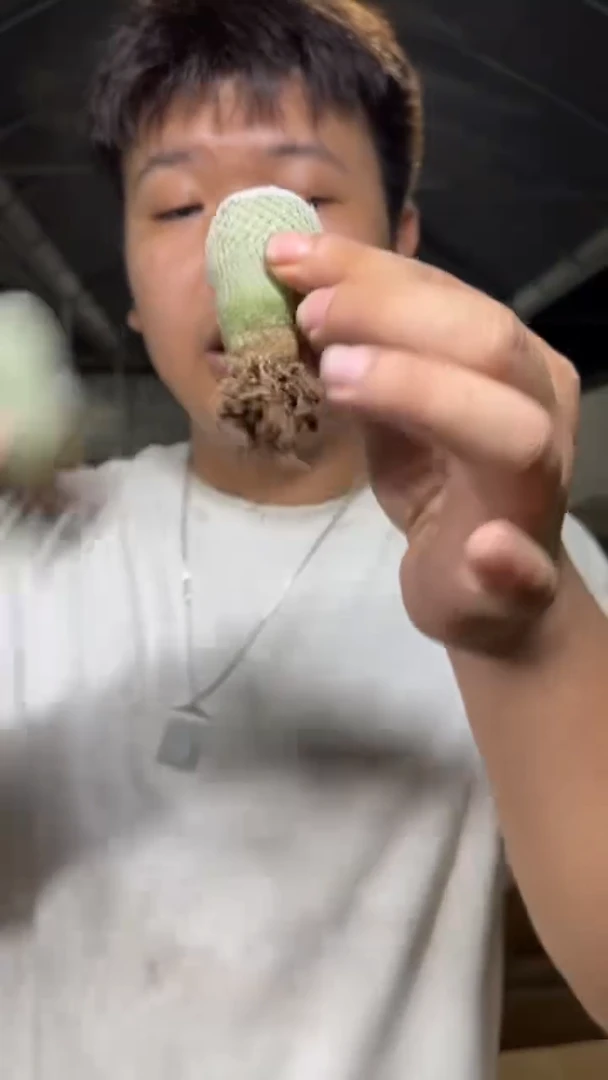2颗 月世界【实生根】