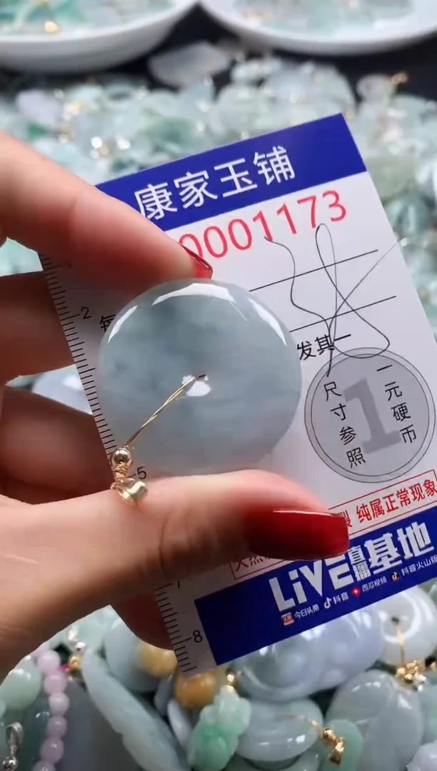 翡翠未镶嵌吊坠(不含链)1173