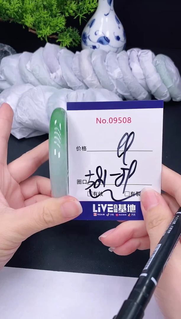 未镶嵌手镯翡翠9508