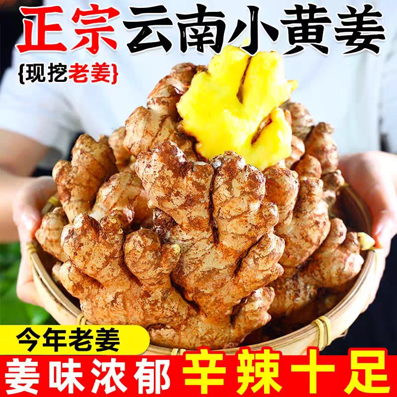 云南小黄姜老姜山区现挖生姜农家新鲜土姜1/3/5/9斤老黄姜