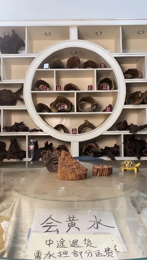 阿*鱼缸造景爬宠素材463