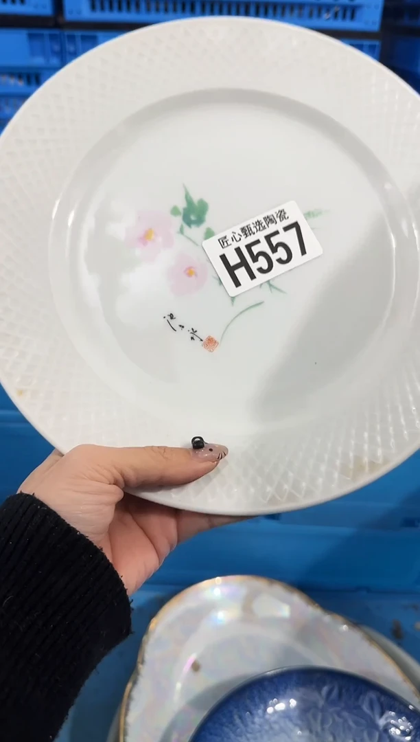 瓷片晓*         H557