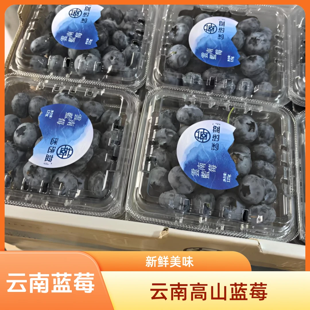 云南蓝莓果经18mm--22mm(大净重每盒净重125g）顺丰包邮次日达云南蓝莓云南省保山市