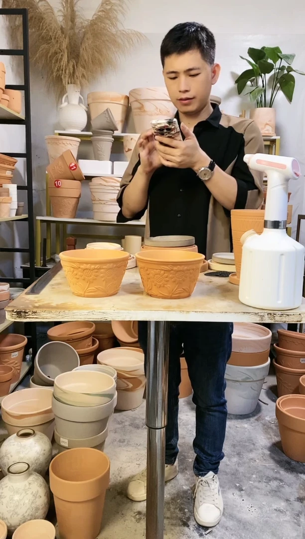 15*8红陶矮盆向日葵 2盆无托