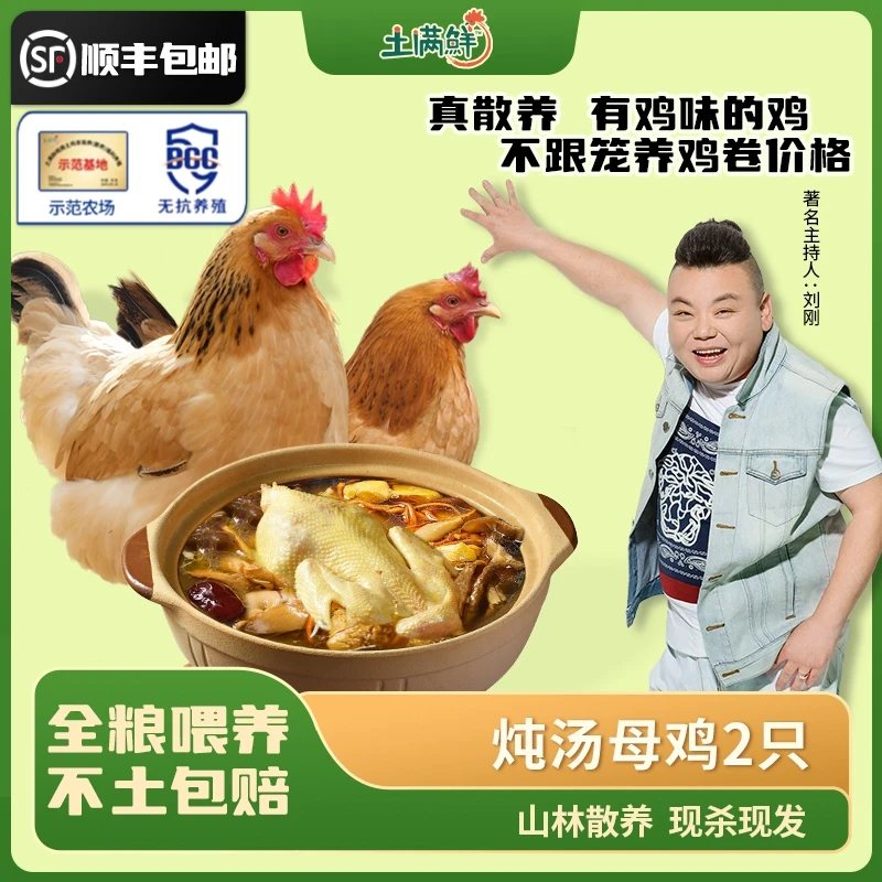 土满鲜东至皖南山林壮年（跑山母鸡散养 301天）现杀老母鸡煲汤鲜美