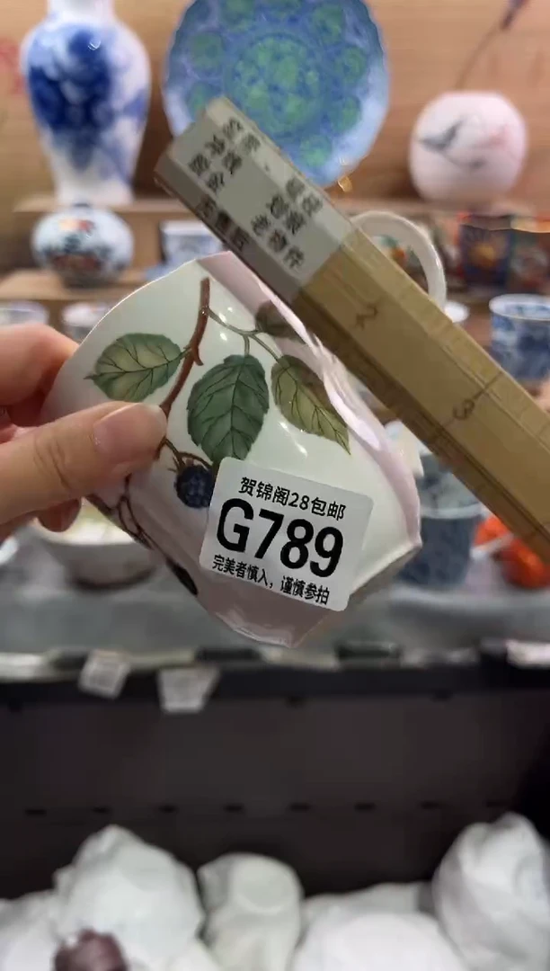 瓷片          G789