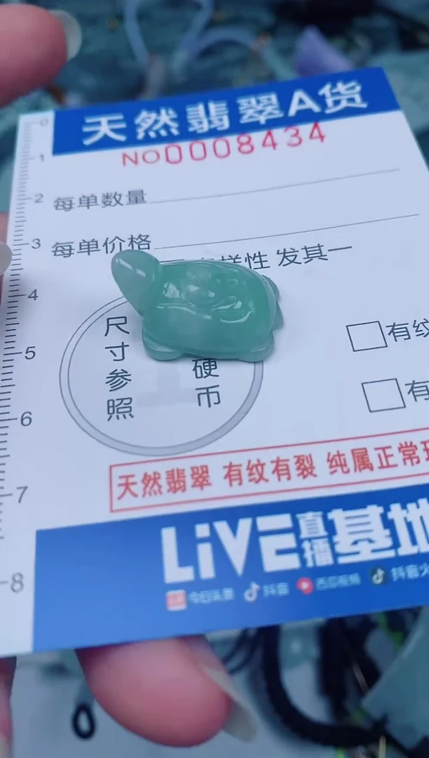 颈饰未镶嵌翡翠00008434