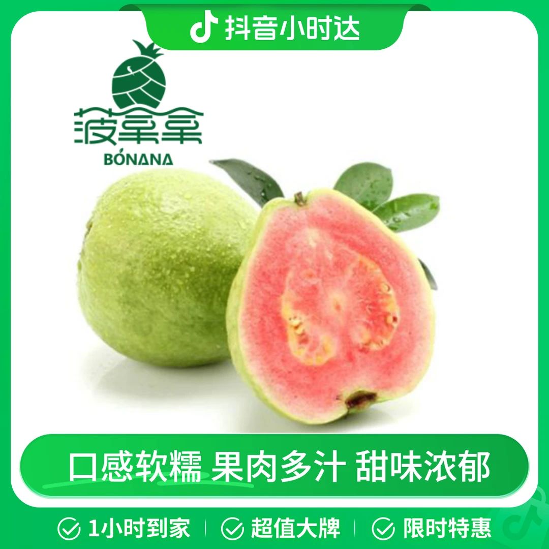 【整果】红心芭乐（番石榴）.两个装约600克