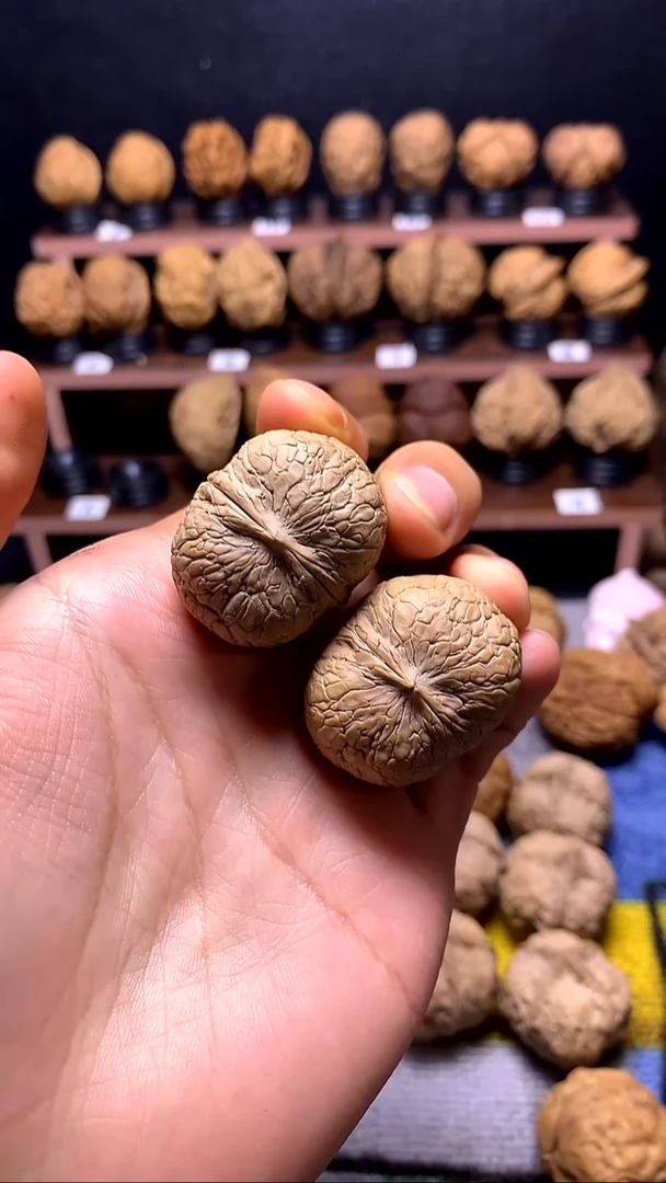 菩提籽类蟒皮元宝34.5