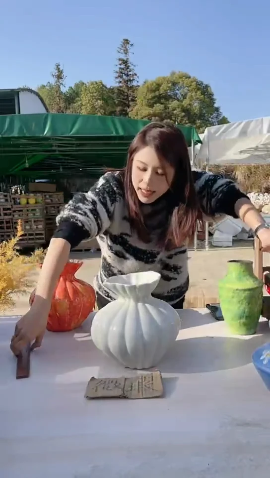 【闪购商品】陶瓷景德镇手工陶瓷