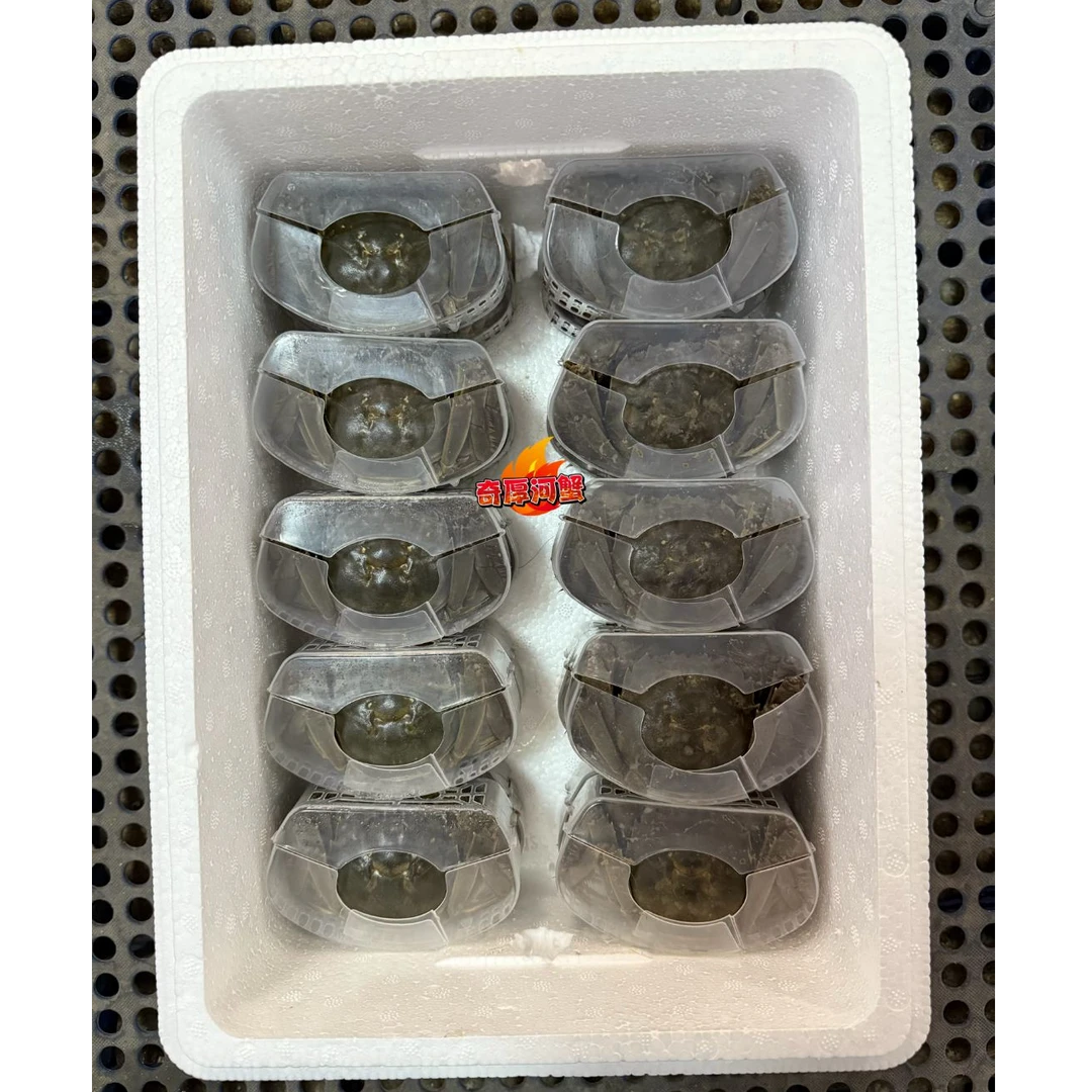 【活蟹】盘锦河蟹精装送礼(1.7-2两)公母各10只