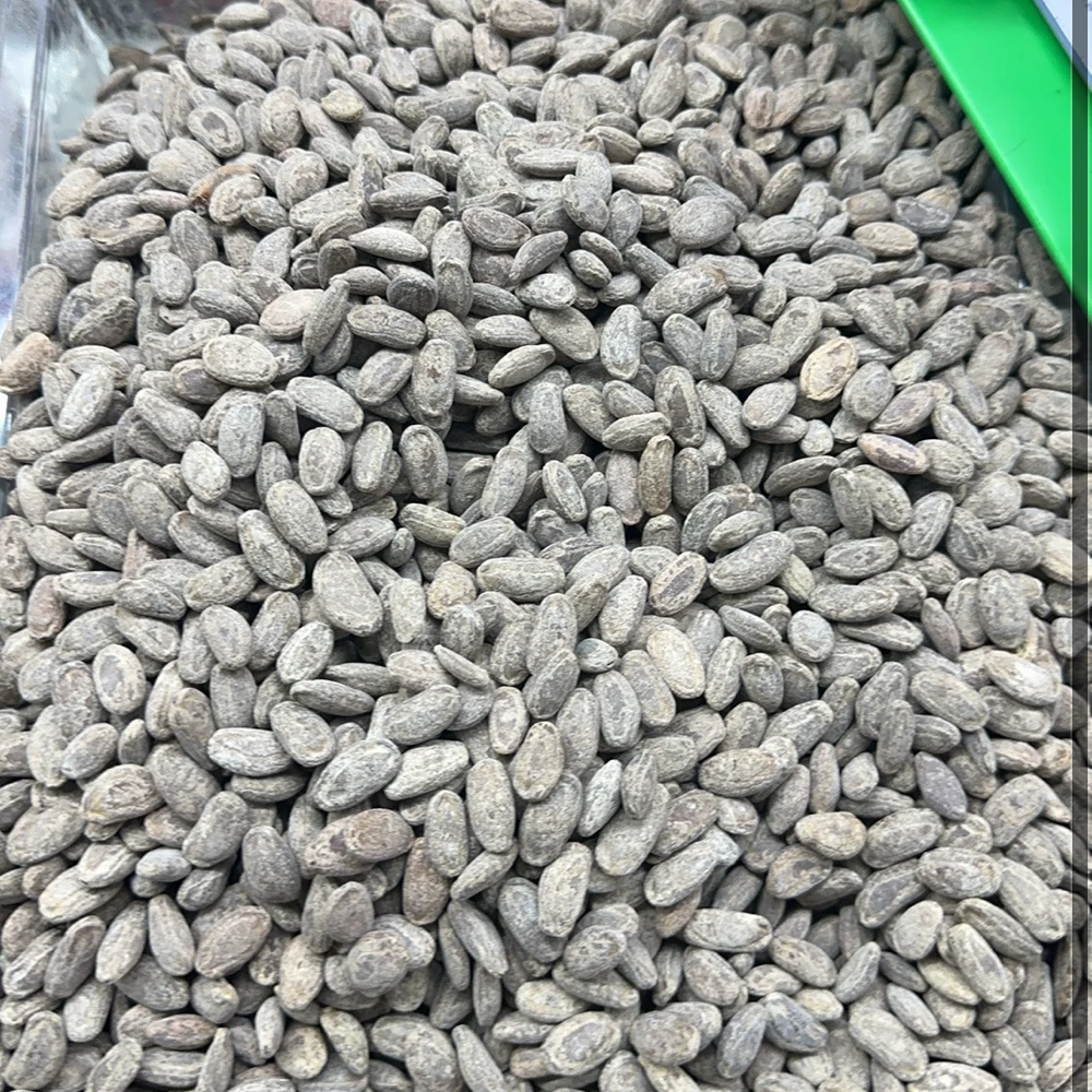 吊瓜子大果奶香味 净重约1.8斤