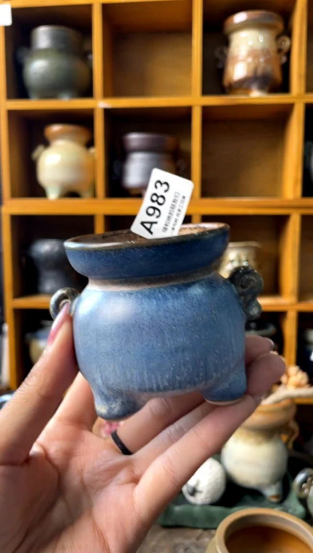 小*林983【多肉花盆多肉盆】